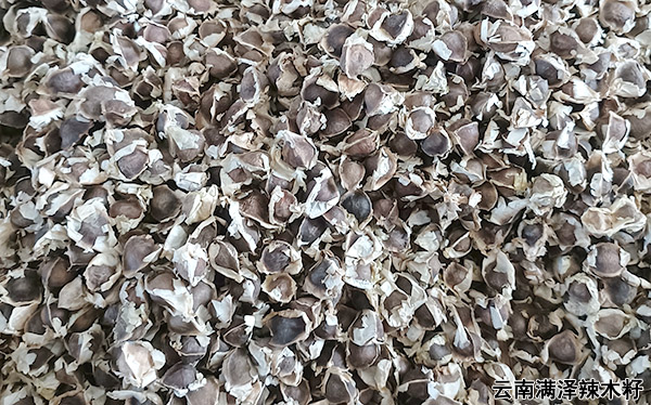 云南辣木籽23.jpg