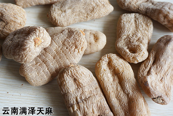 云南昭通天麻的功效与作用吃法