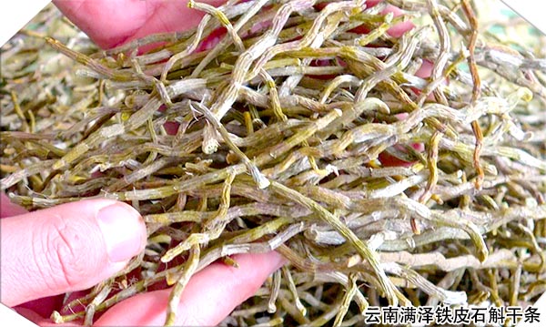 铁皮石斛干条5.jpg