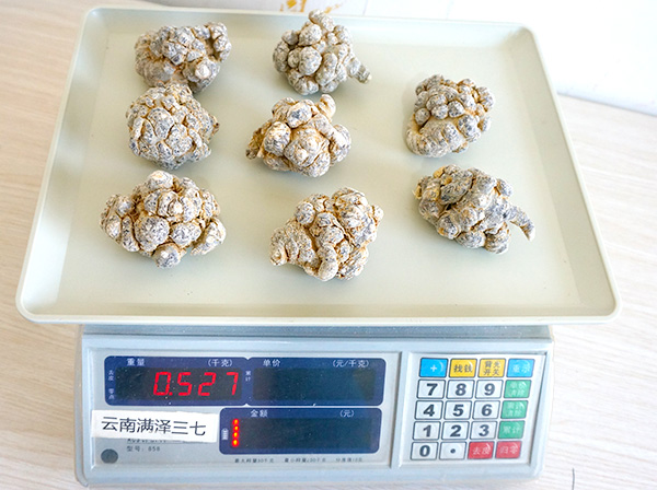 云南三七180.jpg