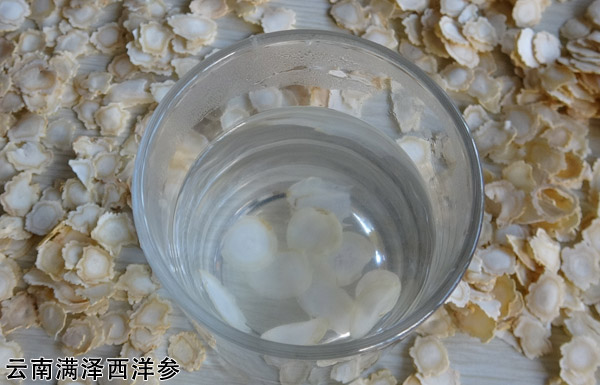 文章西洋参1.jpg