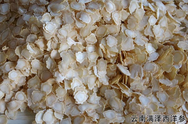 文章西洋参2.jpg