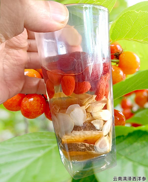 枸杞西洋参黄芪泡水.jpg